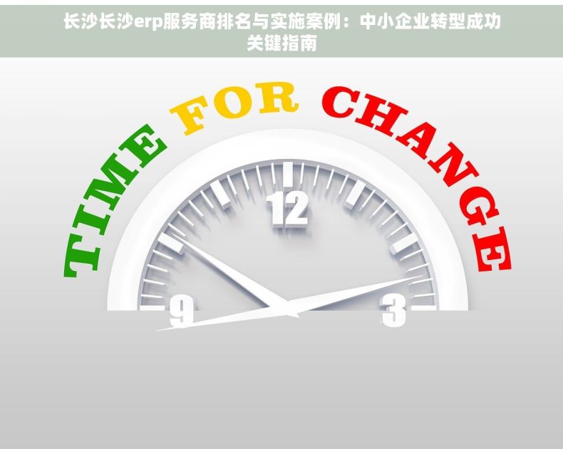 长沙长沙erp服务商排名与实施案例：中小企业转型成功关键指南