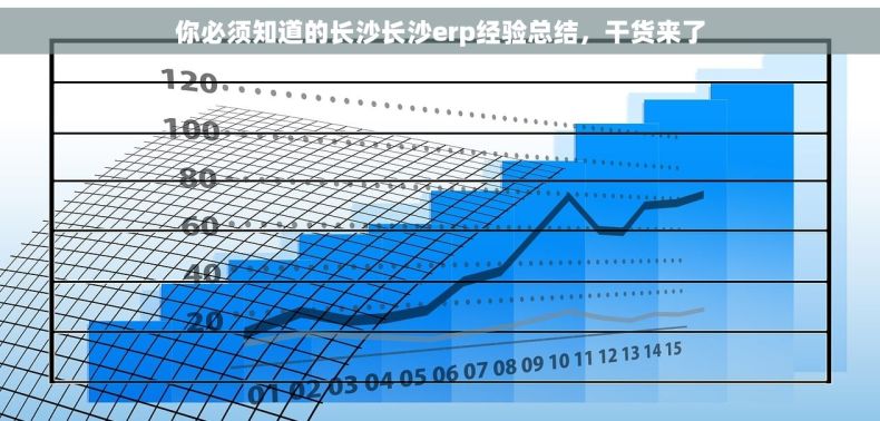 你必须知道的长沙长沙erp经验总结，干货来了