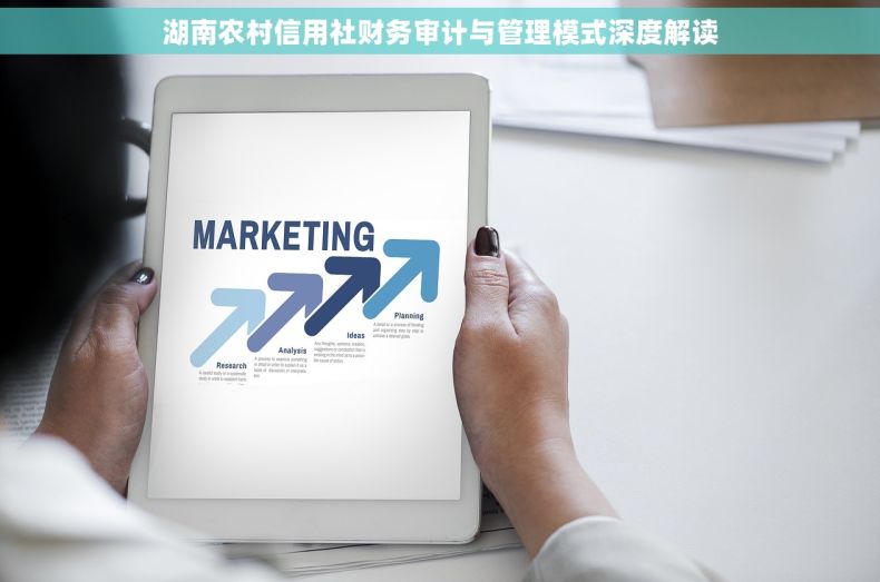 湖南农村信用社财务审计与管理模式深度解读
