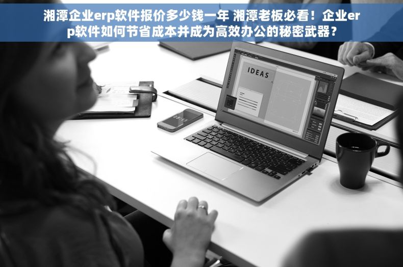 湘潭企业erp软件报价多少钱一年 湘潭老板必看！企业erp软件如何节省成本并成为高效办公的秘密武器？