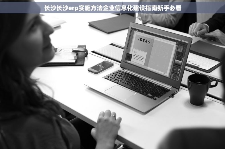 长沙长沙erp实施方法企业信息化建设指南新手必看