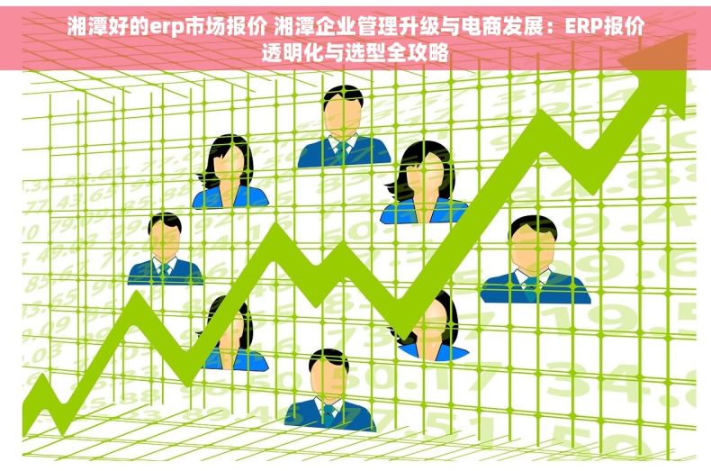 湘潭好的erp市场报价 湘潭企业管理升级与电商发展：ERP报价透明化与选型全攻略
