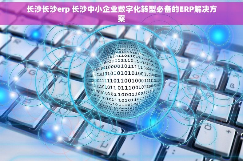 长沙长沙erp 长沙中小企业数字化转型必备的ERP解决方案