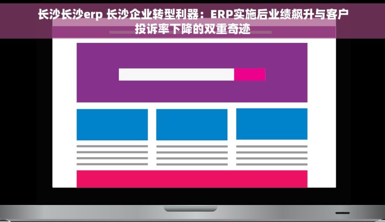 长沙长沙erp 长沙企业转型利器：ERP实施后业绩飙升与客户投诉率下降的双重奇迹