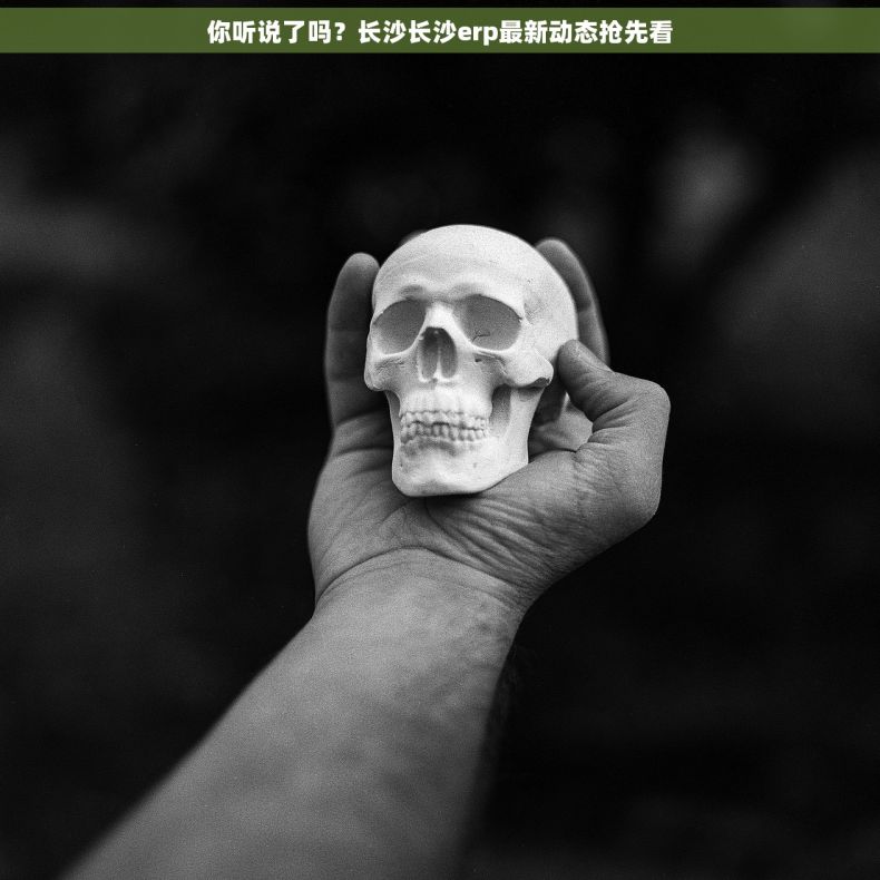 你听说了吗？长沙长沙erp最新动态抢先看