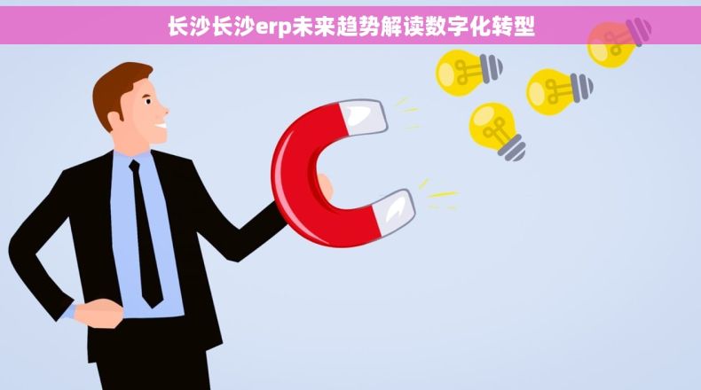 长沙长沙erp未来趋势解读数字化转型