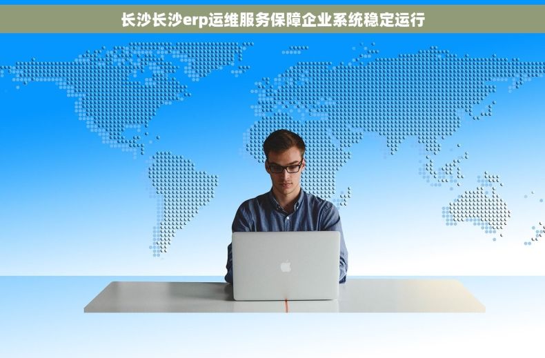 长沙长沙erp运维服务保障企业系统稳定运行