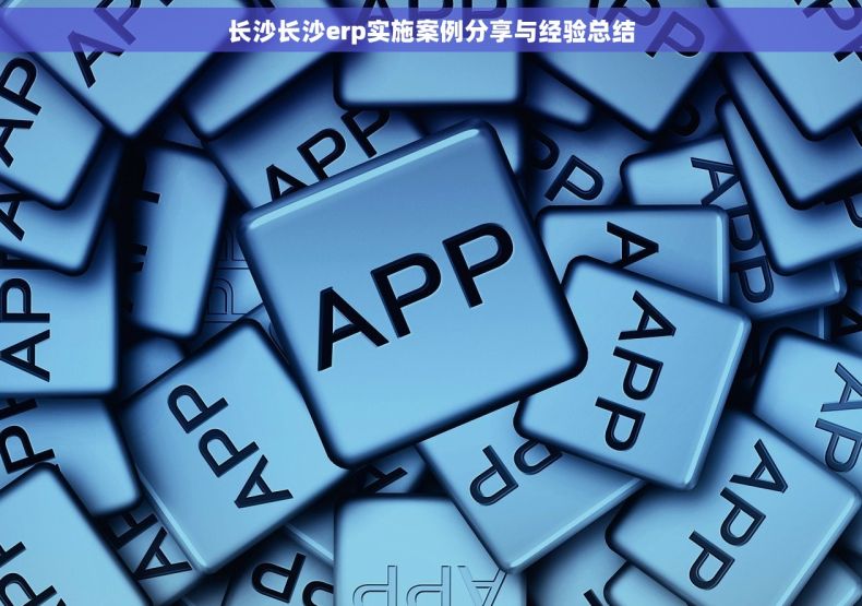 长沙长沙erp实施案例分享与经验总结