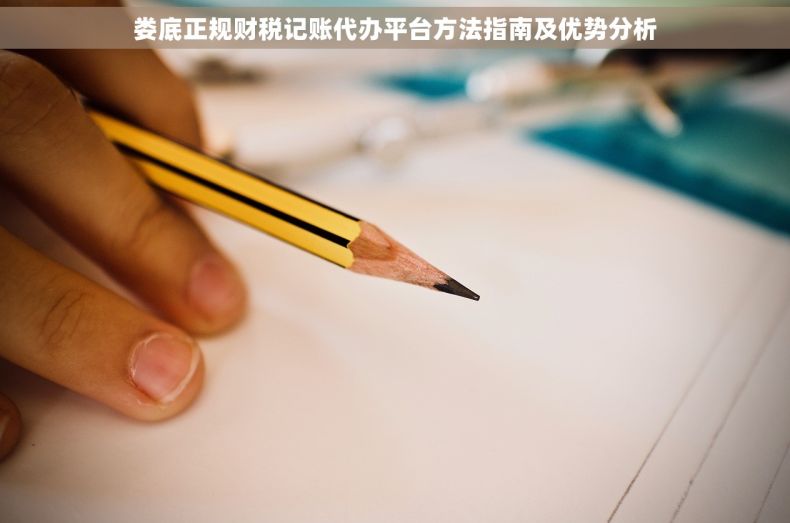娄底正规财税记账代办平台方法指南及优势分析