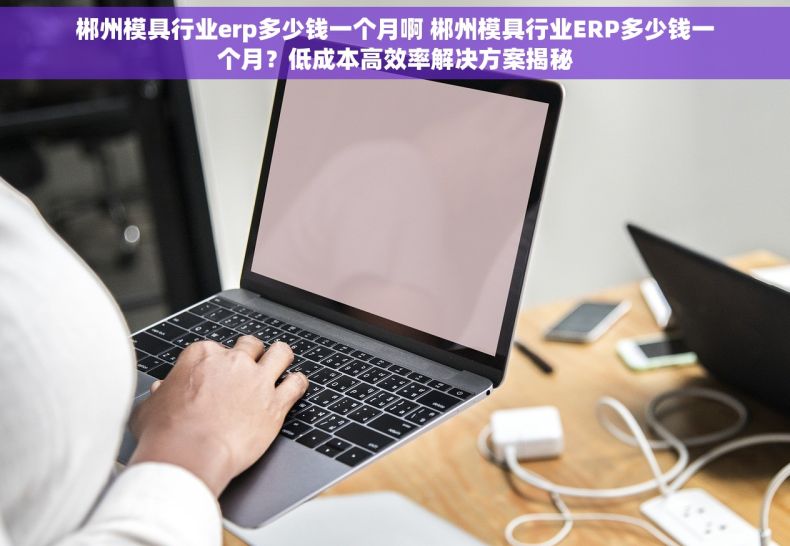 郴州模具行业erp多少钱一个月啊 郴州模具行业ERP多少钱一个月？低成本高效率解决方案揭秘