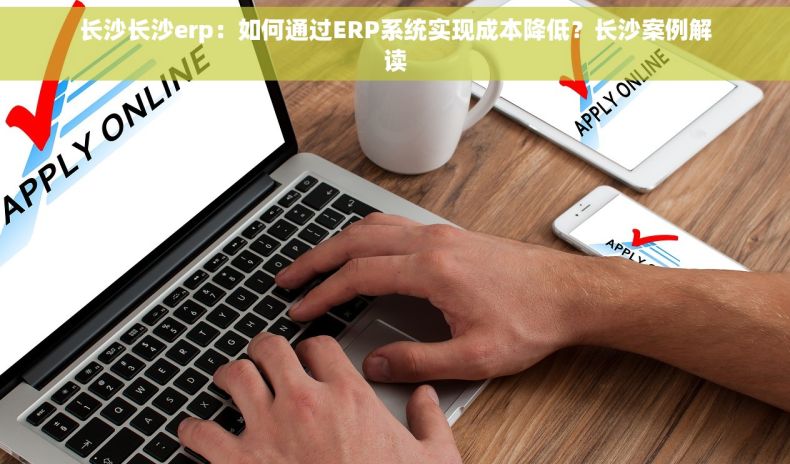 长沙长沙erp：如何通过ERP系统实现成本降低？长沙案例解读