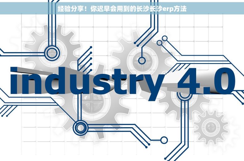经验分享！你迟早会用到的长沙长沙erp方法