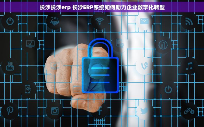 长沙长沙erp 长沙ERP系统如何助力企业数字化转型