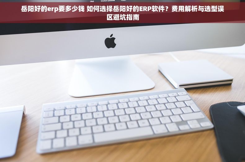 岳阳好的erp要多少钱 如何选择岳阳好的ERP软件？费用解析与选型误区避坑指南