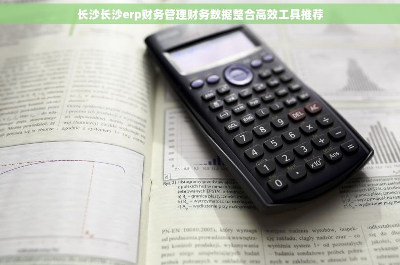 长沙长沙erp财务管理财务数据整合高效工具推荐