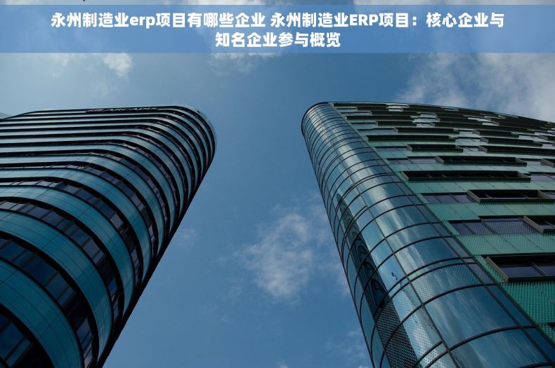 永州制造业erp项目有哪些企业 永州制造业ERP项目：核心企业与知名企业参与概览