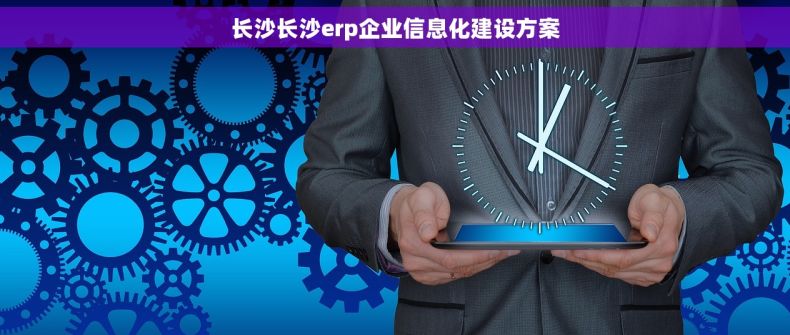 长沙长沙erp企业信息化建设方案
