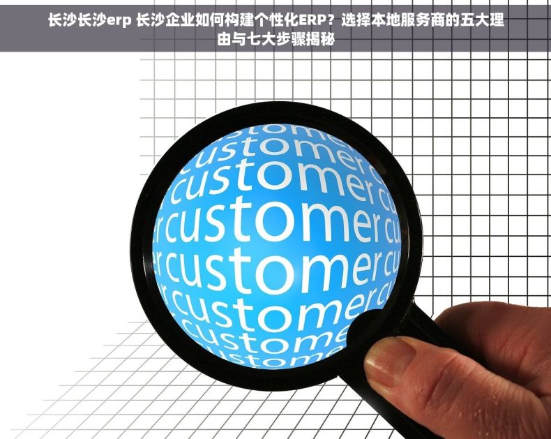 长沙长沙erp 长沙企业如何构建个性化ERP？选择本地服务商的五大理由与七大步骤揭秘