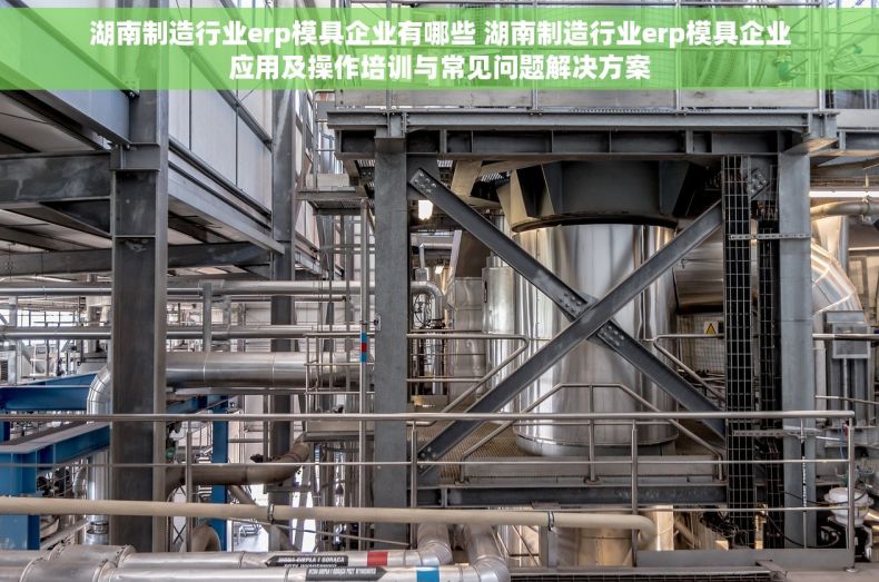 湖南制造行业erp模具企业有哪些 湖南制造行业erp模具企业应用及操作培训与常见问题解决方案