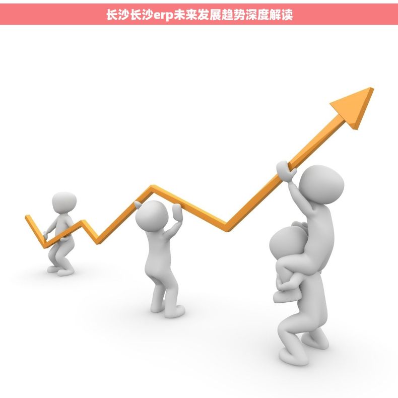 长沙长沙erp未来发展趋势深度解读