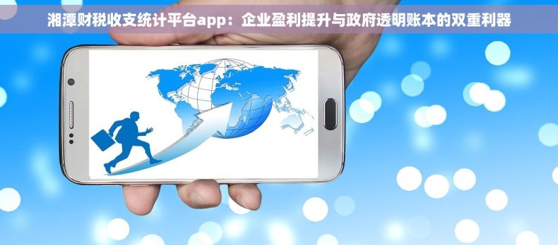 湘潭财税收支统计平台app：企业盈利提升与政府透明账本的双重利器