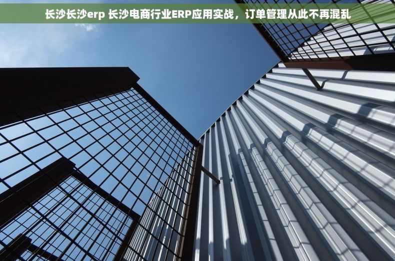 长沙长沙erp 长沙电商行业ERP应用实战，订单管理从此不再混乱