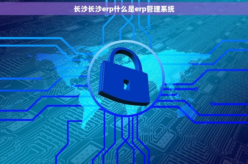 长沙长沙erp什么是erp管理系统