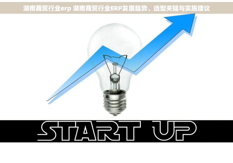 湖南商贸行业erp 湖南商贸行业ERP发展趋势、选型关键与实施建议
