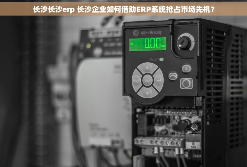 长沙长沙erp 长沙企业如何借助ERP系统抢占市场先机？