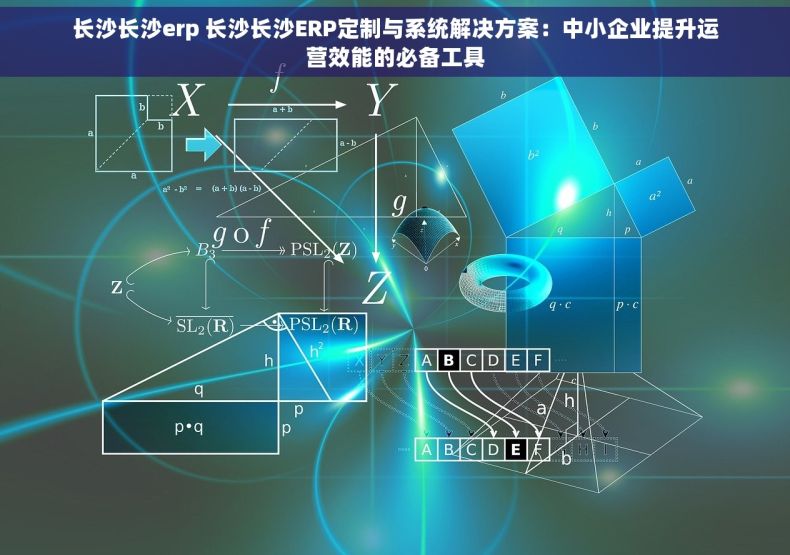 长沙长沙erp 长沙长沙ERP定制与系统解决方案：中小企业提升运营效能的必备工具