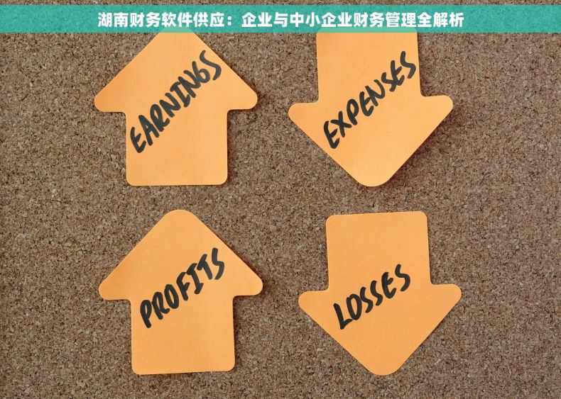 湖南财务软件供应：企业与中小企业财务管理全解析
