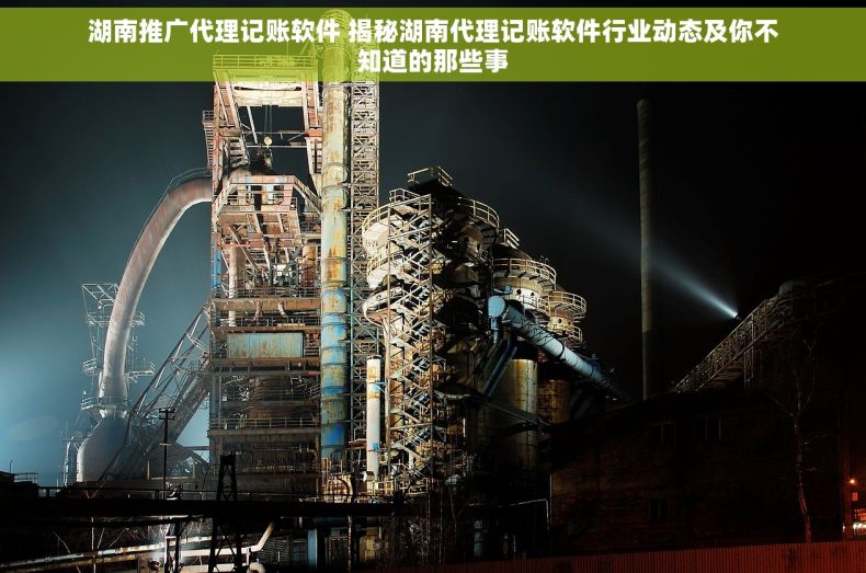 湖南推广代理记账软件 揭秘湖南代理记账软件行业动态及你不知道的那些事
