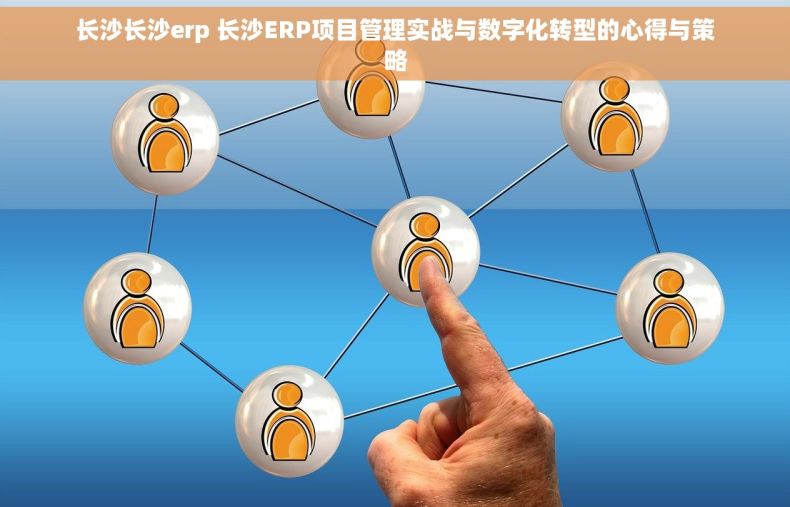 长沙长沙erp 长沙ERP项目管理实战与数字化转型的心得与策略