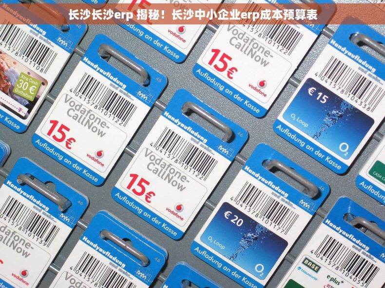 长沙长沙erp 揭秘！长沙中小企业erp成本预算表