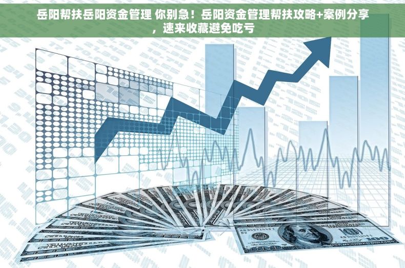 岳阳帮扶岳阳资金管理 你别急！岳阳资金管理帮扶攻略+案例分享，速来收藏避免吃亏