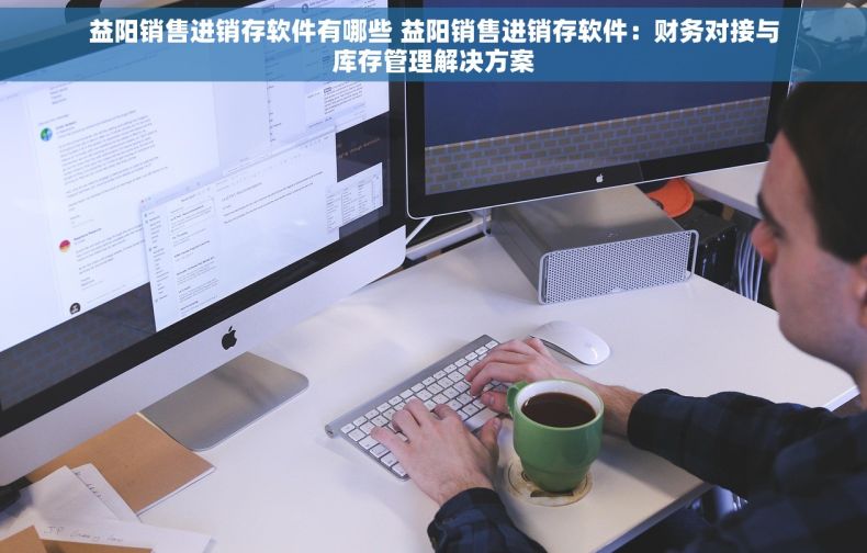 益阳销售进销存软件有哪些 益阳销售进销存软件：财务对接与库存管理解决方案