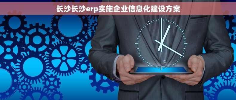长沙长沙erp实施企业信息化建设方案