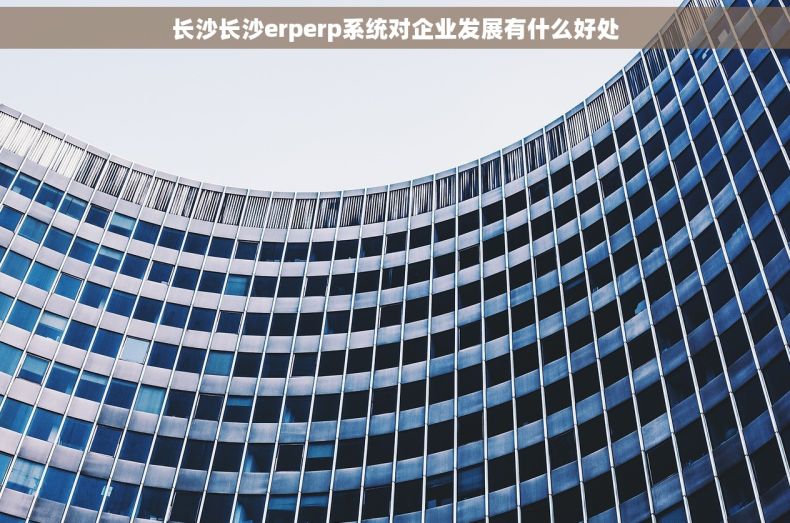 长沙长沙erperp系统对企业发展有什么好处