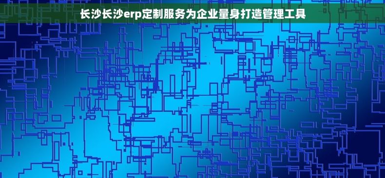长沙长沙erp定制服务为企业量身打造管理工具