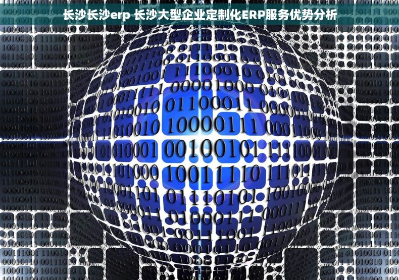 长沙长沙erp 长沙大型企业定制化ERP服务优势分析
