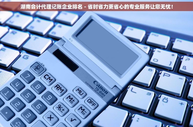 湖南会计代理记账企业排名 - 省时省力更省心的专业服务让您无忧！