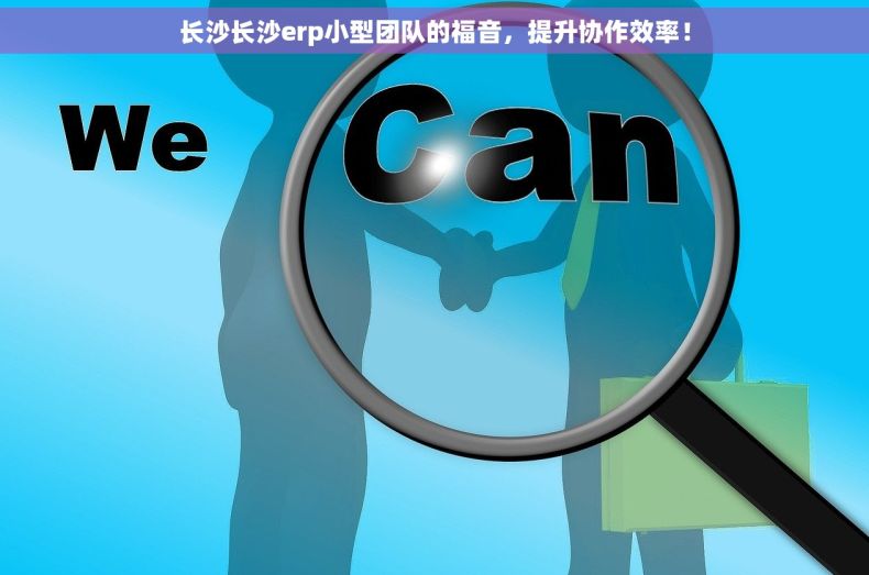 长沙长沙erp小型团队的福音，提升协作效率！