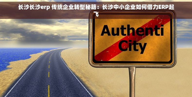 长沙长沙erp 传统企业转型秘籍：长沙中小企业如何借力ERP起飞
