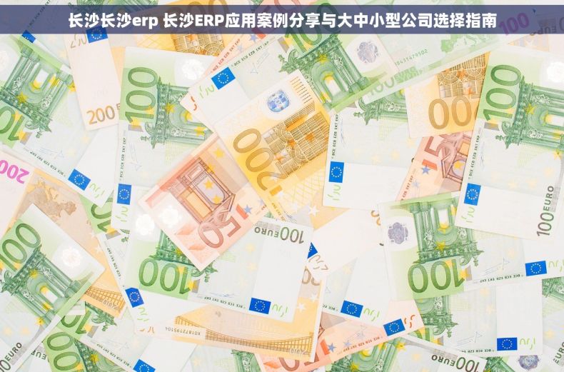 长沙长沙erp 长沙ERP应用案例分享与大中小型公司选择指南