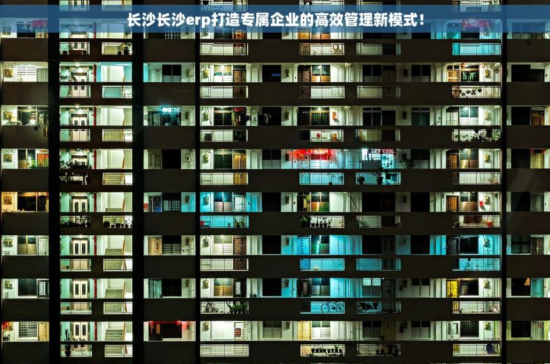 长沙长沙erp打造专属企业的高效管理新模式！