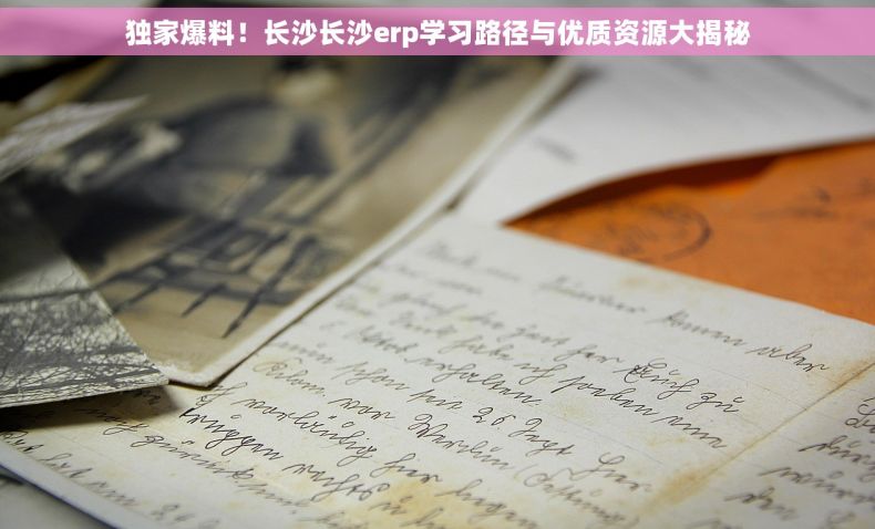 独家爆料！长沙长沙erp学习路径与优质资源大揭秘
