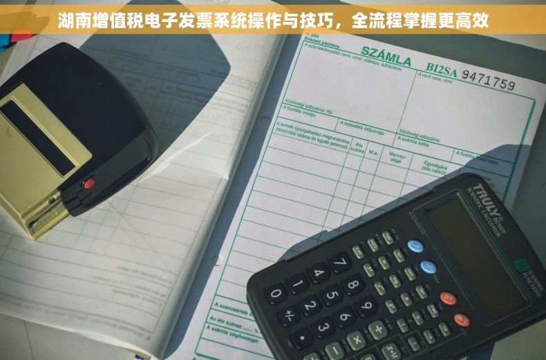 湖南增值税电子发票系统操作与技巧，全流程掌握更高效