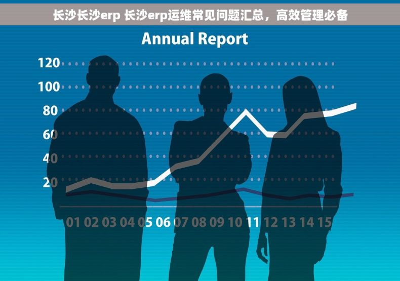 长沙长沙erp 长沙erp运维常见问题汇总，高效管理必备