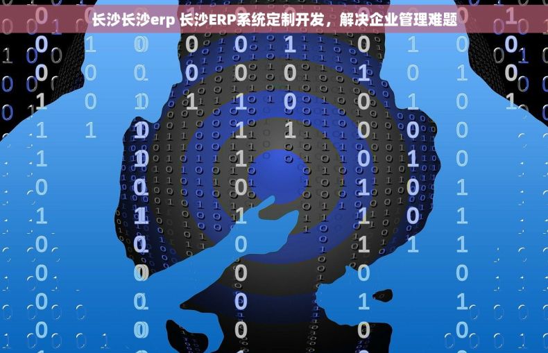 长沙长沙erp 长沙ERP系统定制开发，解决企业管理难题