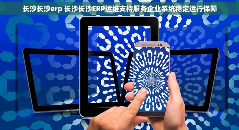 长沙长沙erp 长沙长沙ERP运维支持服务企业系统稳定运行保障